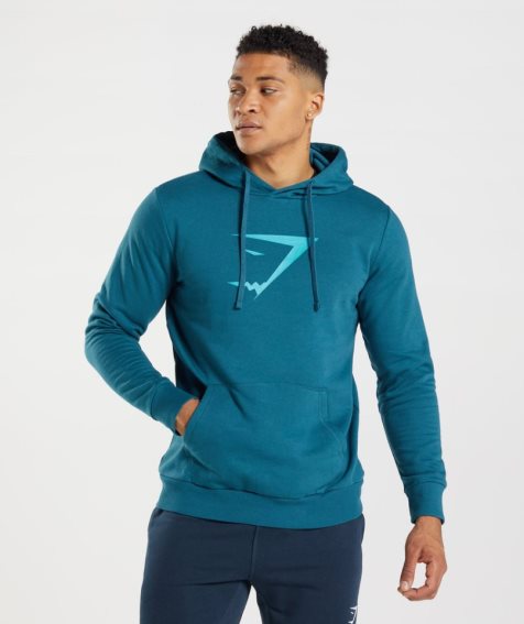 Bluzy Z Kapturem Gymshark Sharkhead Infill Męskie Niebieskie | PL 734MDI